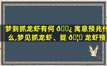 梦到抓龙虾有何 🌿 寓意预兆什么,梦见抓龙虾、捉 🦈 龙虾预示将来会发生什么